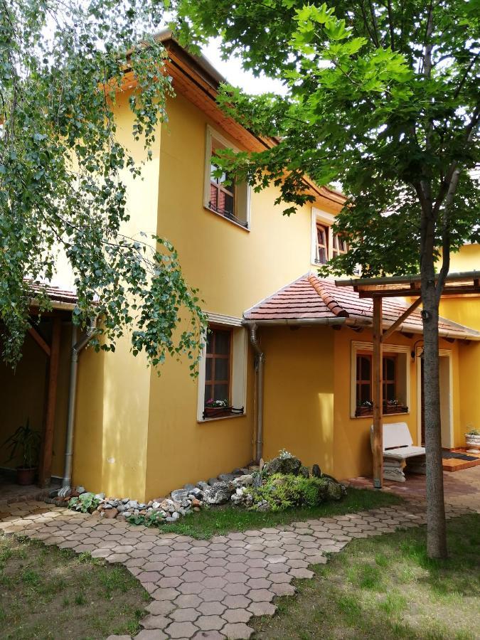 Karpatia Panzio Bed and Breakfast Esztergom Exteriör bild